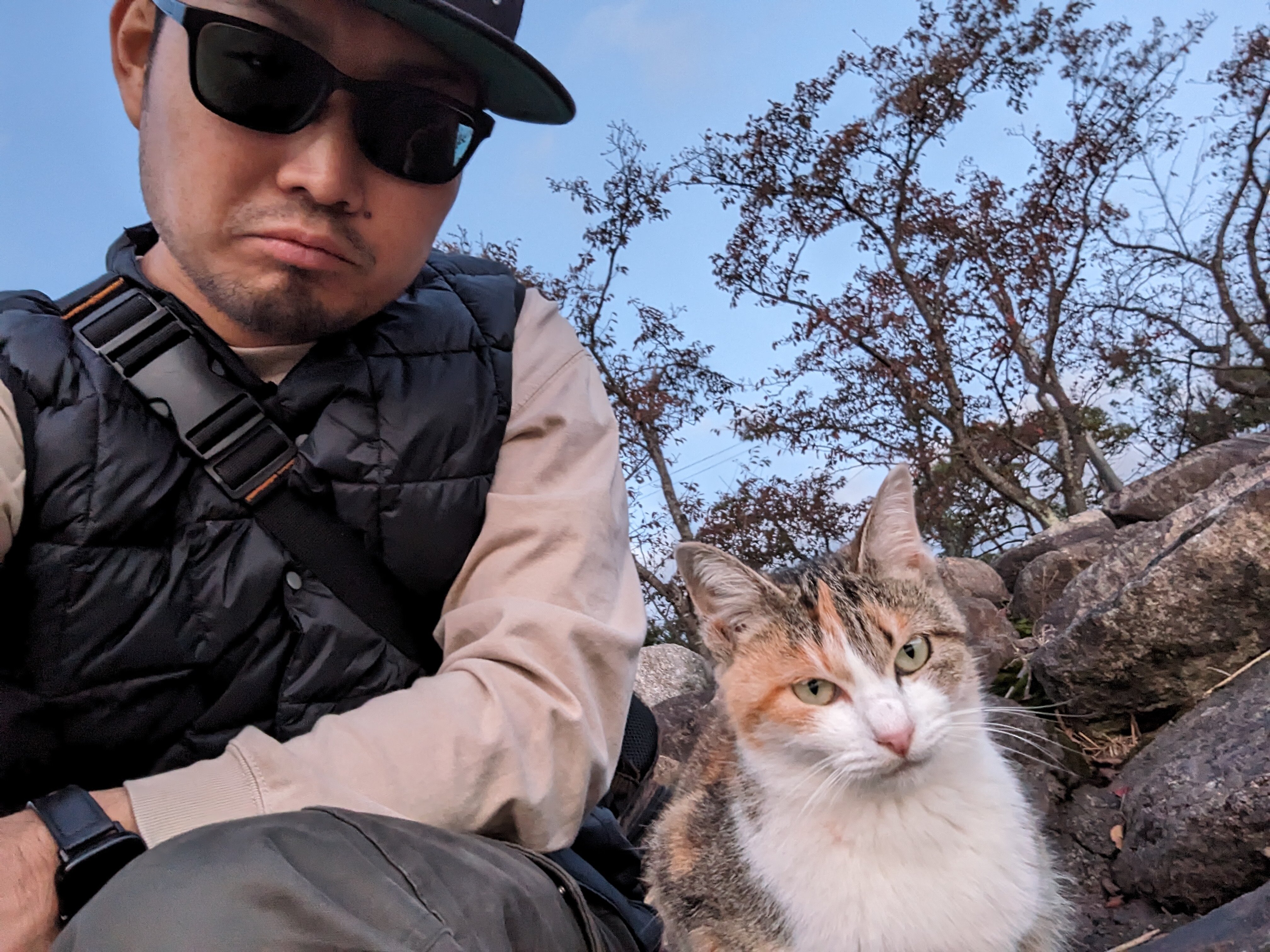 監査の体系的な知識を得ることができ、ISO9001における内部監査の視点で新たな観点で考えることができるようになりました。