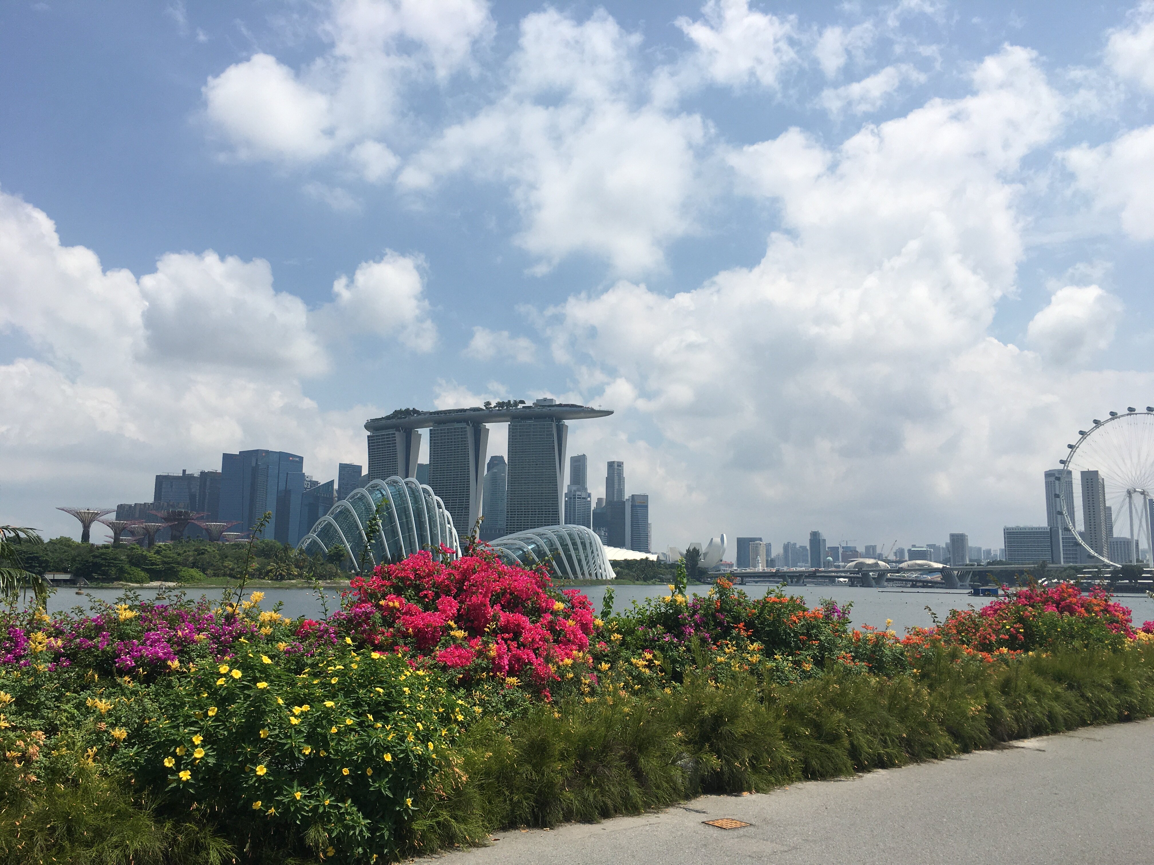 CIAに続いての資格取得となり、監査人として少し自信が持てた気がします。